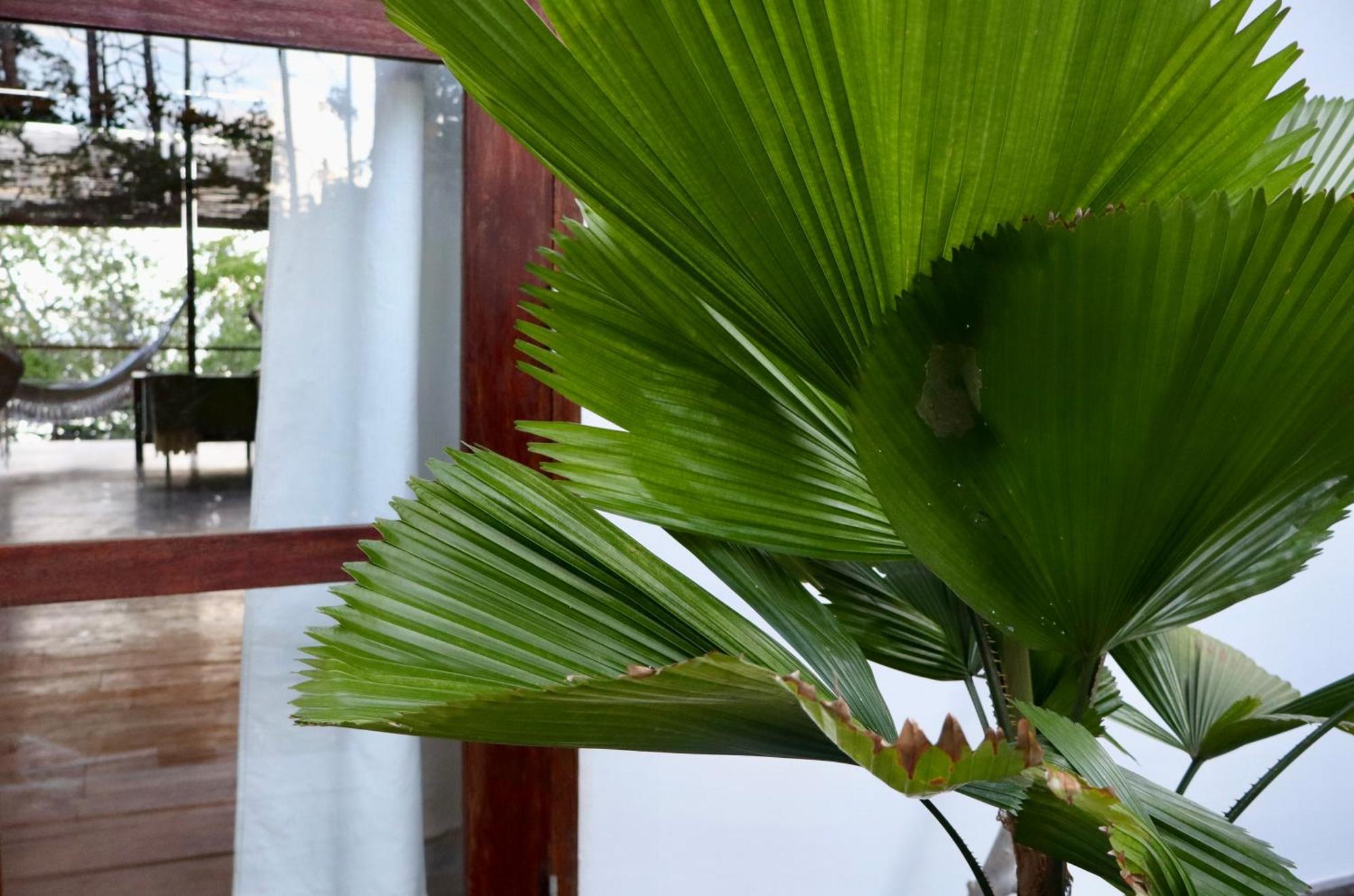 Villa Luzo & Tours Saonek エクステリア 写真