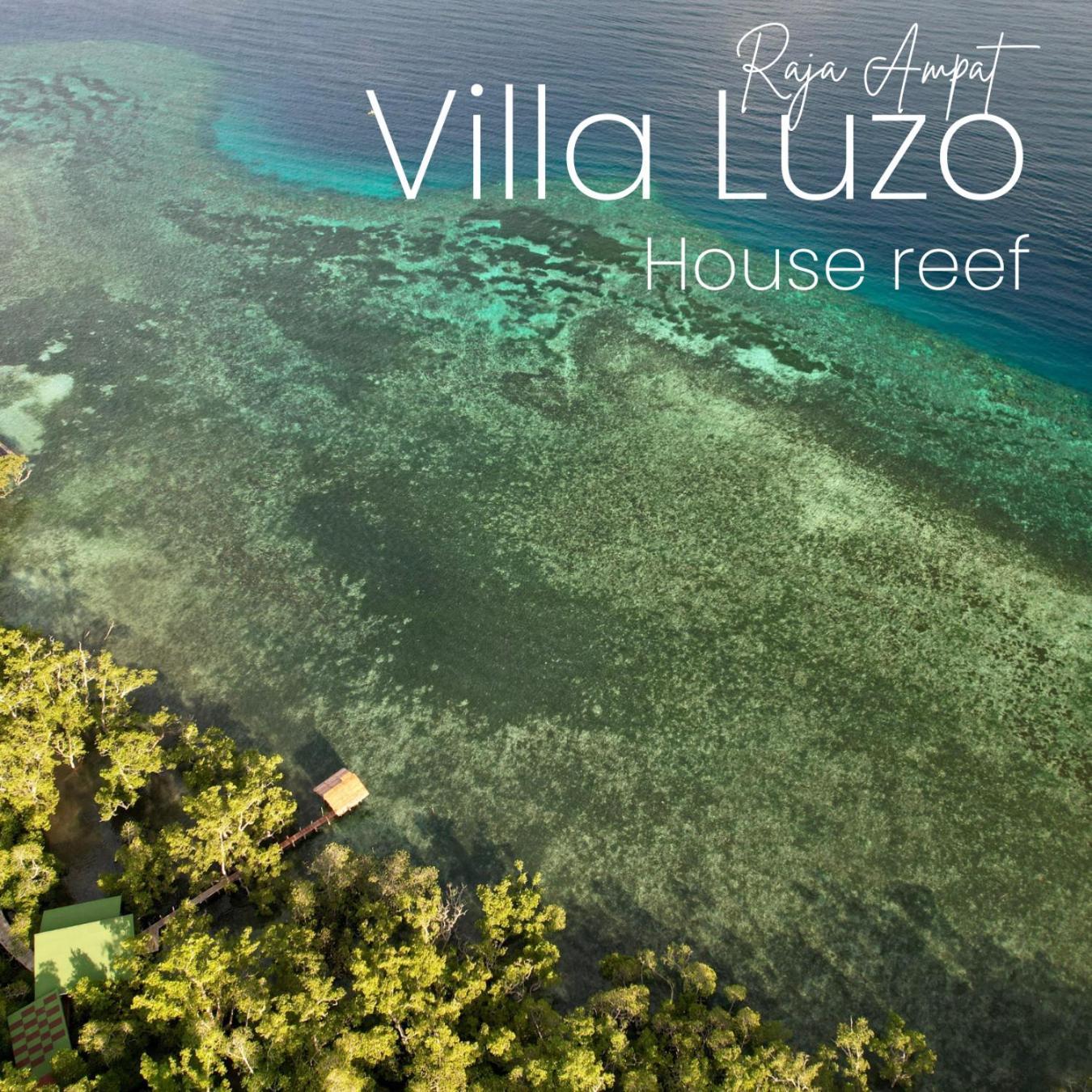 Villa Luzo & Tours Saonek エクステリア 写真